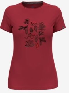 T/SHIRT CREW NECK S/S KUMANO FOREST - AMERICAN BEAUTY
